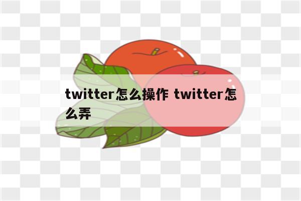 twitter怎么操作 twitter怎么弄