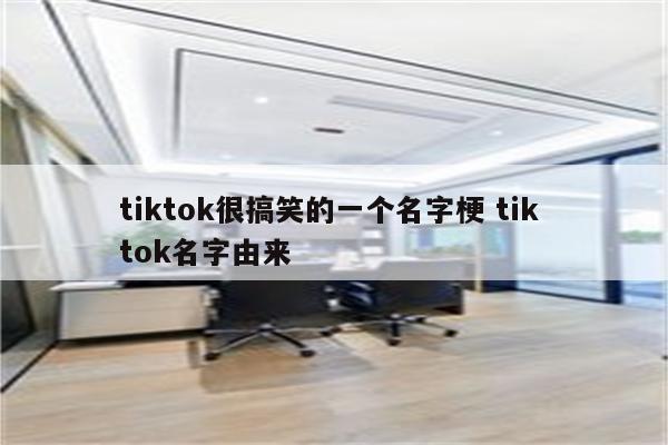 tiktok很搞笑的一个名字梗 tik tok名字由来