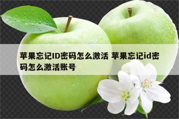 苹果忘记ID密码怎么激活 苹果忘记id密码怎么激活账号