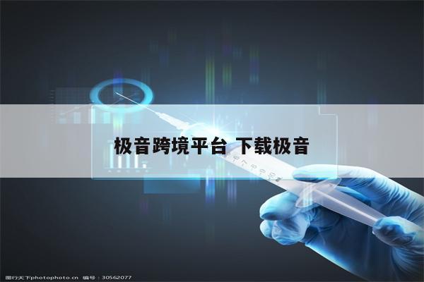 极音跨境平台 下载极音