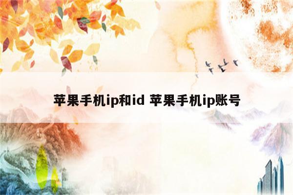 苹果手机ip和id 苹果手机ip账号