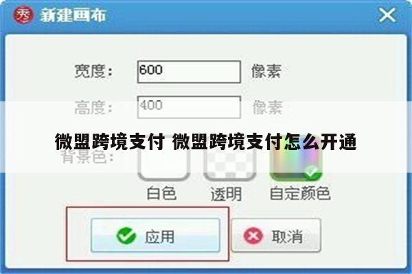 微盟跨境支付 微盟跨境支付怎么开通