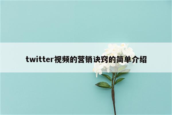 twitter视频的营销诀窍的简单介绍