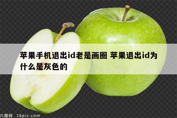 苹果手机退出id老是画圈 苹果退出id为什么是灰色的