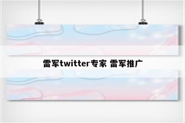 雷军twitter专家 雷军推广