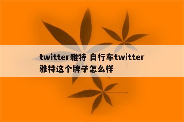 twitter雅特 自行车twitter雅特这个牌子怎么样