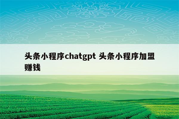 头条小程序chatgpt 头条小程序加盟赚钱