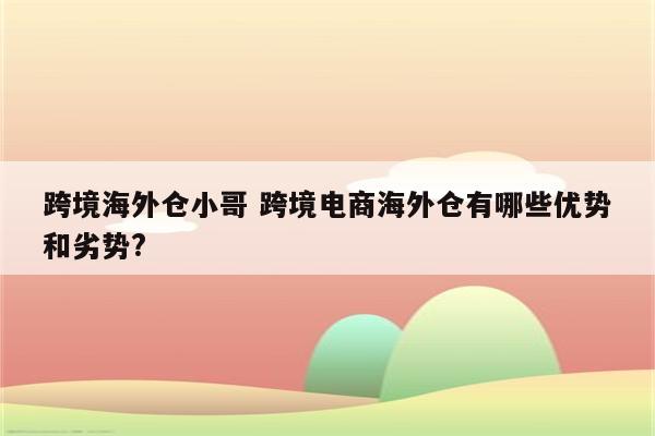 跨境海外仓小哥 跨境电商海外仓有哪些优势和劣势?