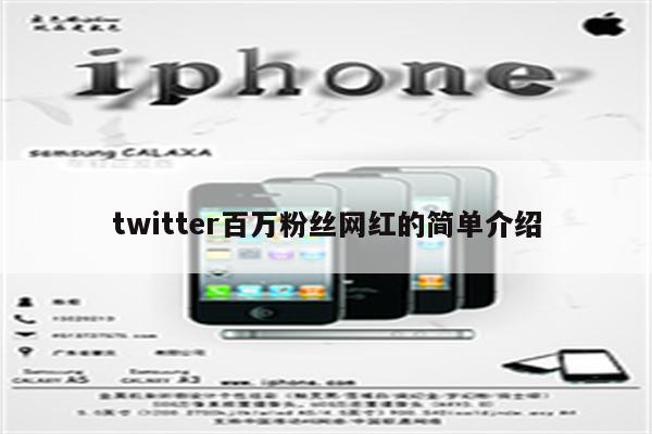 twitter百万粉丝网红的简单介绍