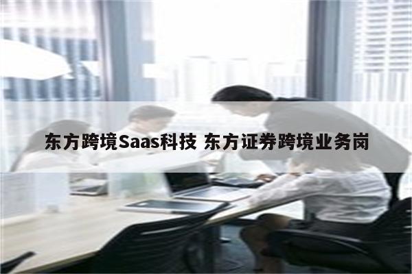 东方跨境Saas科技 东方证券跨境业务岗