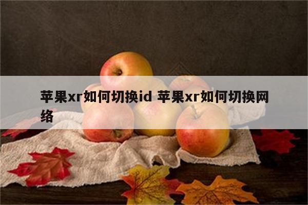 苹果xr如何切换id 苹果xr如何切换网络