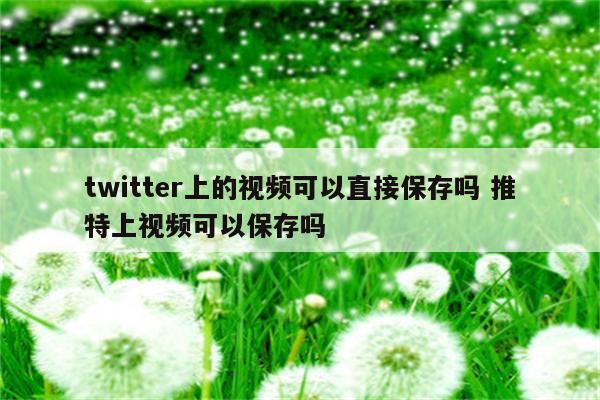 twitter上的视频可以直接保存吗 推特上视频可以保存吗