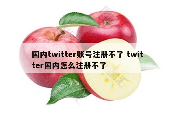 国内twitter账号注册不了 twitter国内怎么注册不了