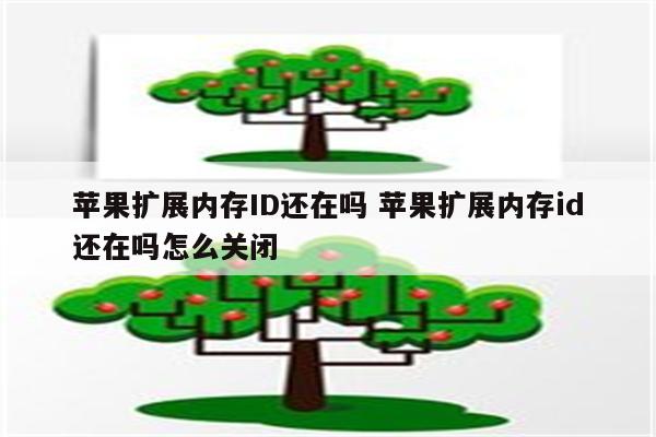 苹果扩展内存ID还在吗 苹果扩展内存id还在吗怎么关闭