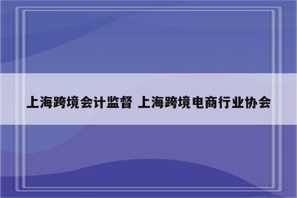 上海跨境会计监督 上海跨境电商行业协会