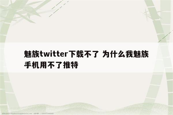 魅族twitter下载不了 为什么我魅族手机用不了推特