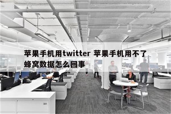 苹果手机用twitter 苹果手机用不了蜂窝数据怎么回事