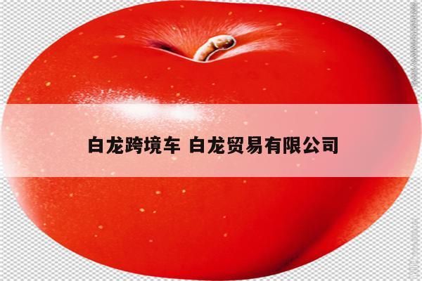 白龙跨境车 白龙贸易有限公司