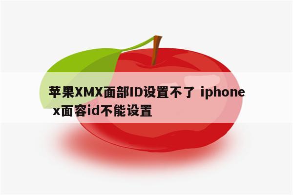 苹果XMX面部ID设置不了 iphone x面容id不能设置