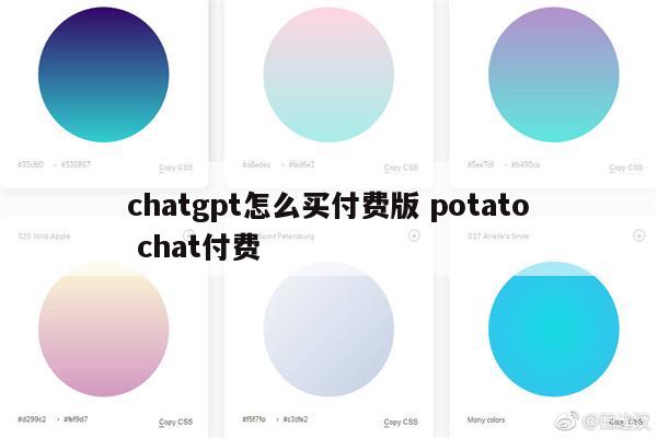 chatgpt怎么买付费版 potato chat付费