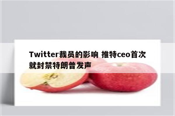 Twitter裁员的影响 推特ceo首次就封禁特朗普发声