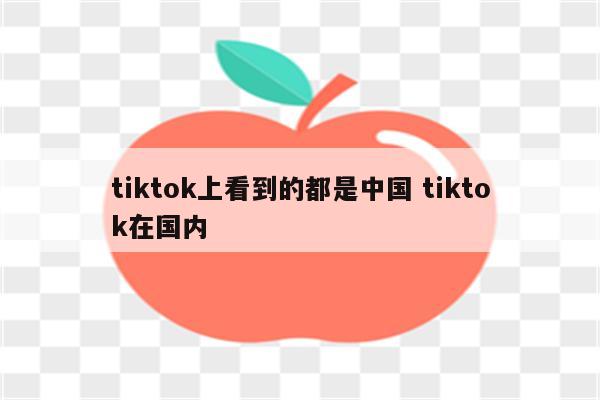 tiktok上看到的都是中国 tiktok在国内