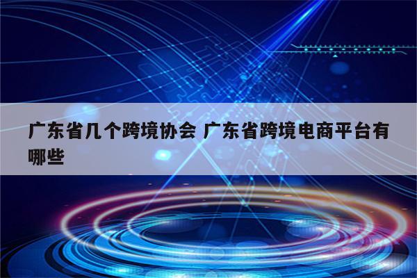 广东省几个跨境协会 广东省跨境电商平台有哪些