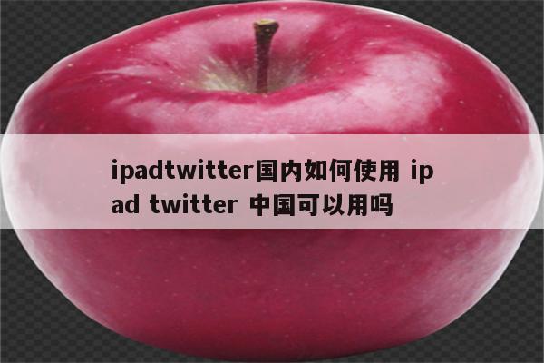 ipadtwitter国内如何使用 ipad twitter 中国可以用吗