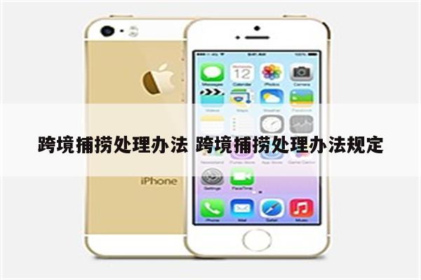 跨境捕捞处理办法 跨境捕捞处理办法规定