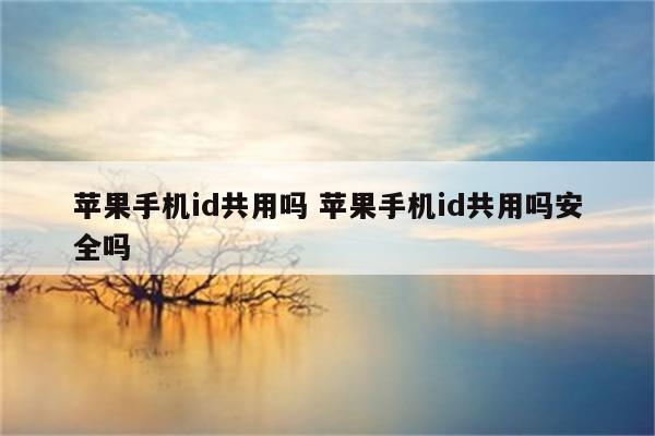 苹果手机id共用吗 苹果手机id共用吗安全吗