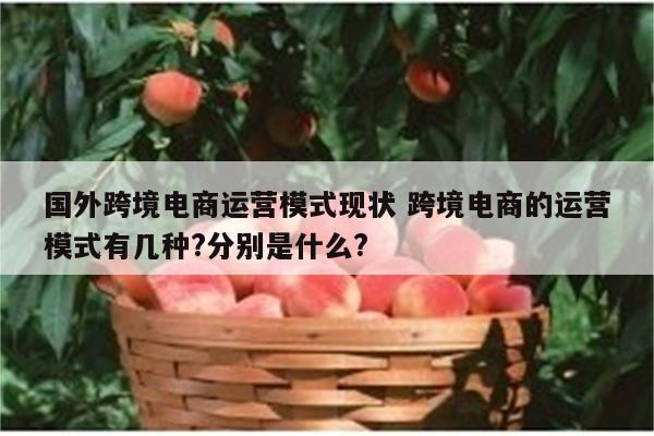 国外跨境电商运营模式现状 跨境电商的运营模式有几种?分别是什么?