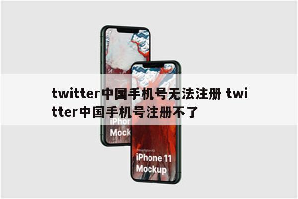 twitter中国手机号无法注册 twitter中国手机号注册不了