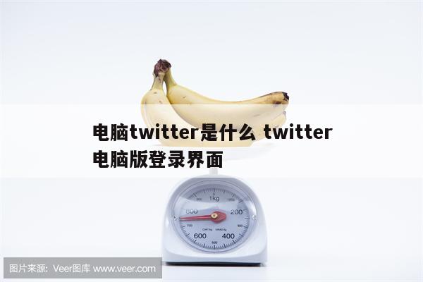 电脑twitter是什么 twitter电脑版登录界面