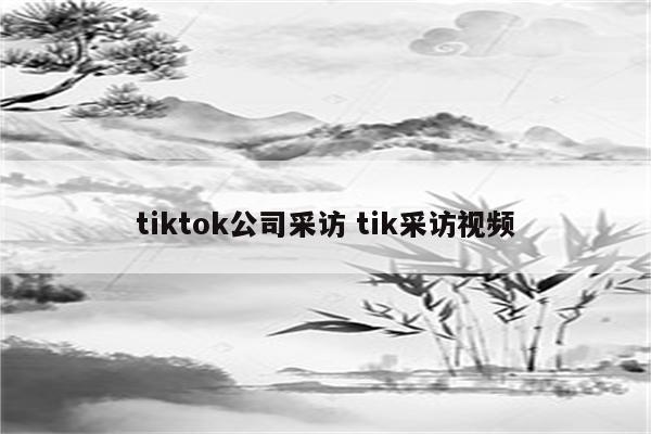tiktok公司采访 tik采访视频
