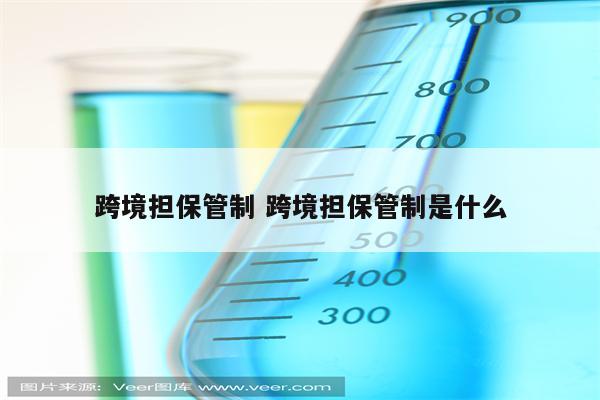 跨境担保管制 跨境担保管制是什么