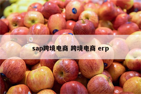 sap跨境电商 跨境电商 erp