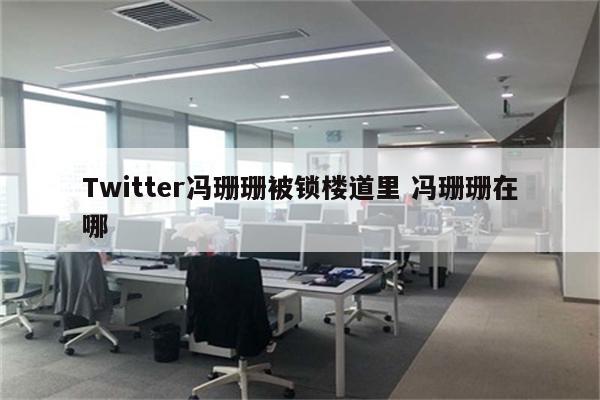 Twitter冯珊珊被锁楼道里 冯珊珊在哪