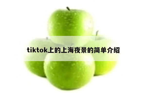 tiktok上的上海夜景的简单介绍