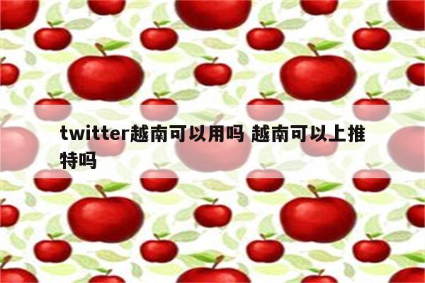 twitter越南可以用吗 越南可以上推特吗