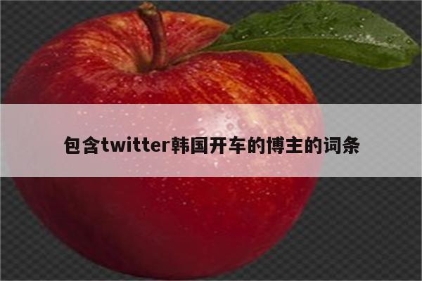 包含twitter韩国开车的博主的词条