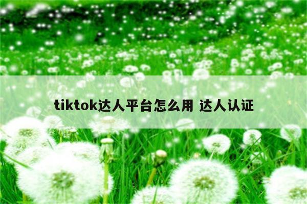 tiktok达人平台怎么用 达人认证