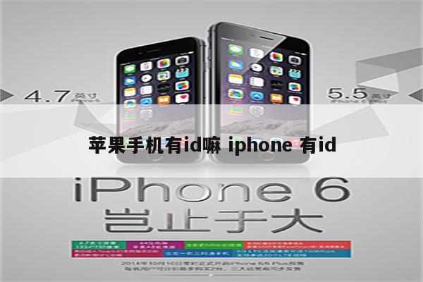 苹果手机有id嘛 iphone 有id