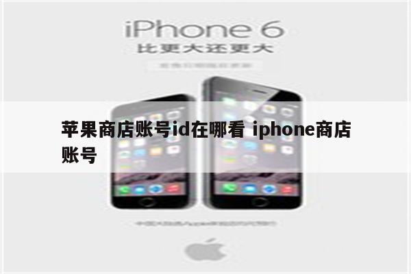 苹果商店账号id在哪看 iphone商店账号