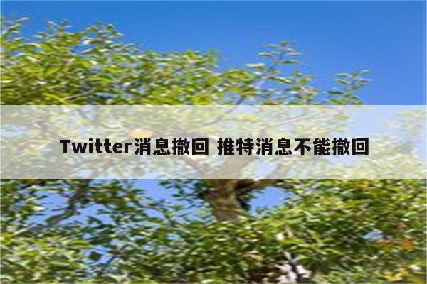 Twitter消息撤回 推特消息不能撤回