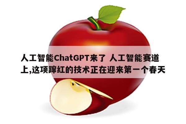 人工智能ChatGPT来了 人工智能赛道上,这项蹿红的技术正在迎来第一个春天