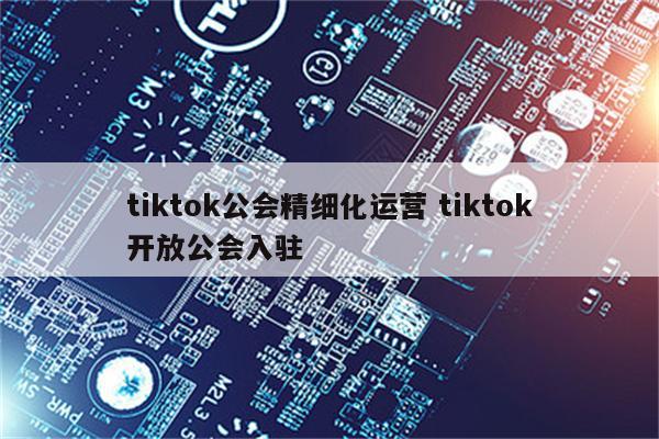 tiktok公会精细化运营 tiktok开放公会入驻