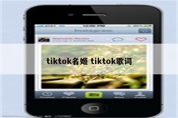 tiktok名姬 tiktok歌词