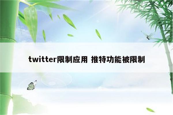 twitter限制应用 推特功能被限制