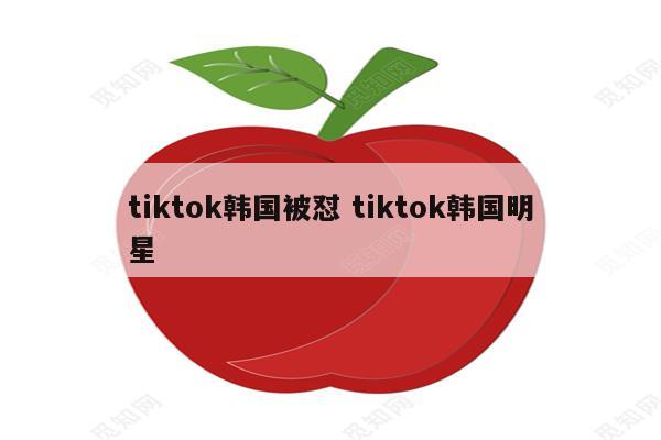 tiktok韩国被怼 tiktok韩国明星