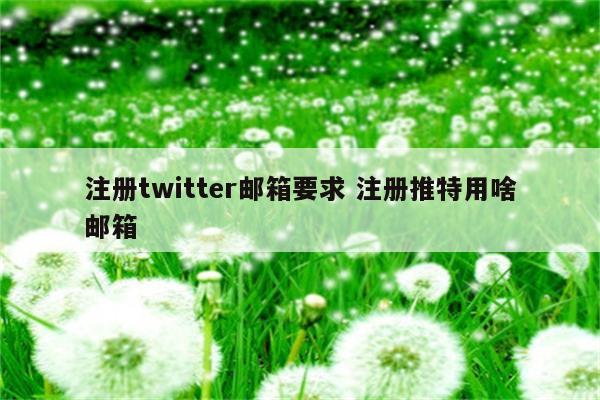 注册twitter邮箱要求 注册推特用啥邮箱